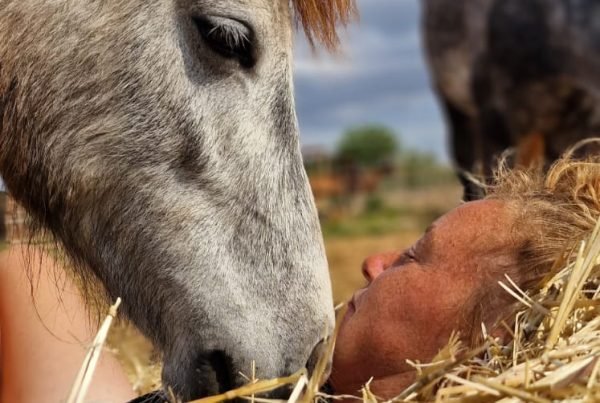 Conexión Equina